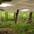 Cropped_68_domaine_de_l_angle_2009_copy