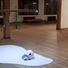 Cropped_68_img_5638