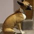 Cropped_68_img_5563