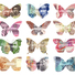 Cropped_68_eurospecimens_collection_