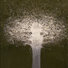 Cropped_68_nhebson_whitetree