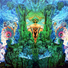 Cropped_68_sk_2011_volta04_chemicalgardens_2010to11_30x40in_web