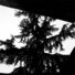 Cropped_68_villa1