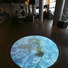 Cropped_68_trapped-installation_shot_sm