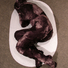 Cropped_68_pet-w400